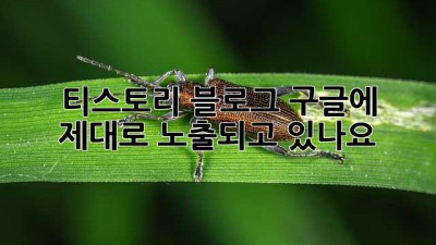 티스토리 블로그, 구글에 제대로 노출되고 있나요?